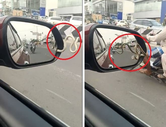 인도 타밀나두주에서 주행 중인 차량의 사이드미러 틈새에서 뱀이 기어 나오는 모습(빨간 원). 소셜미디어(SNS) 캡처