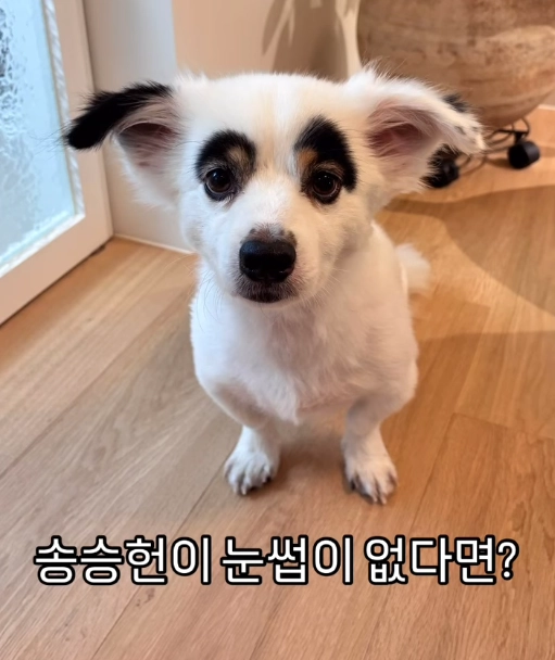 가수 아이비 인스타그램 캡처