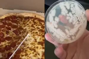알고 보니 세균 득실?…“어제 남은 피자 먹어도 될까요” 반전 있었다