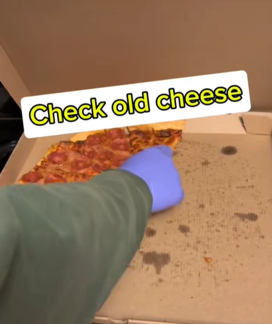 한 미생물학자의 실험에서 냉장고에 넣지 않고 실온에 방치된 피자에 예상대로 세균이 증식한 가운데, 토핑 종류에 따른 의외의 결과가 나와 눈길을 끌고 있다. 틱톡 캡처