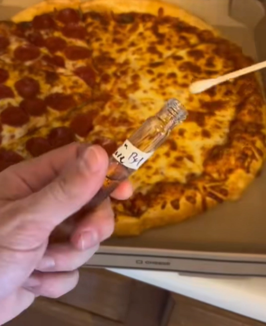 한 미생물학자의 실험에서 냉장고에 넣지 않고 실온에 방치된 피자에 예상대로 세균이 증식한 가운데, 토핑 종류에 따른 의외의 결과가 나와 눈길을 끌고 있다. 틱톡 캡처