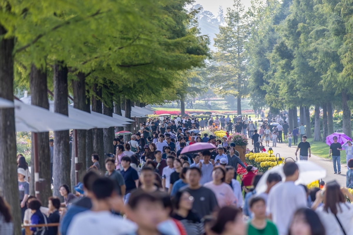 관람객으로 붐비는 순천만국가정원 낙우송길. 순천시 제공.