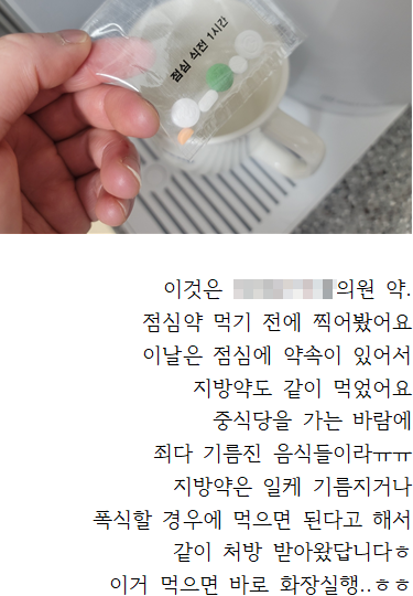 다이어트약 전문병원을 차린 일당들이 인터넷에 올린 허위의 치료경험담. 서울경찰청 제공
