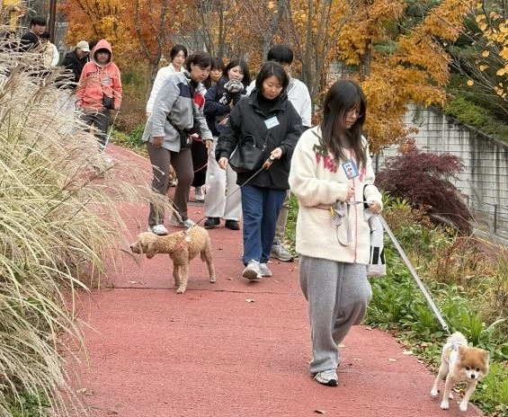 서울 성북구의 ‘구민과 함께하는 반려견 산책교실’. 성북구 제공
