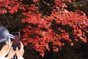 늦가을 느낄 수 있는 주말…일교차 크지만 맑은 날씨
