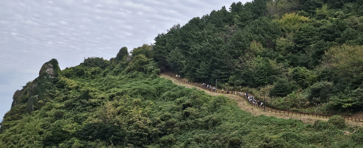 애기업은 돌로 향하는 제주올레꾼들이 별도봉 언덕을 오르고 있다. 제주 강동삼 기자