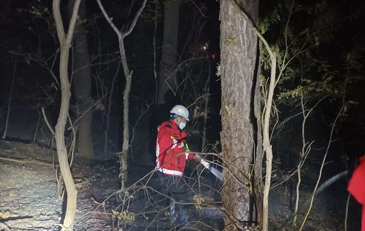 소방대원 등이 진화 작업을 하고 있다. 독자 제공