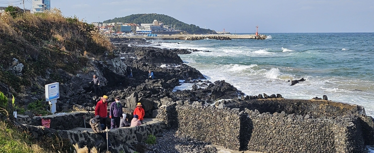 17일 제주시 자율방재단 소속 어르신들이 성난 파도를 피해 갯바위 인근에서 마약수색활동을 펼치고 있다. 제주 강동삼 기자