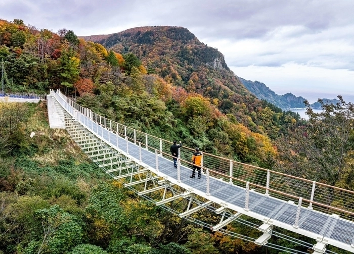 해안 절경 품은 울릉도 울렁다리 전경.  울릉군 제공
