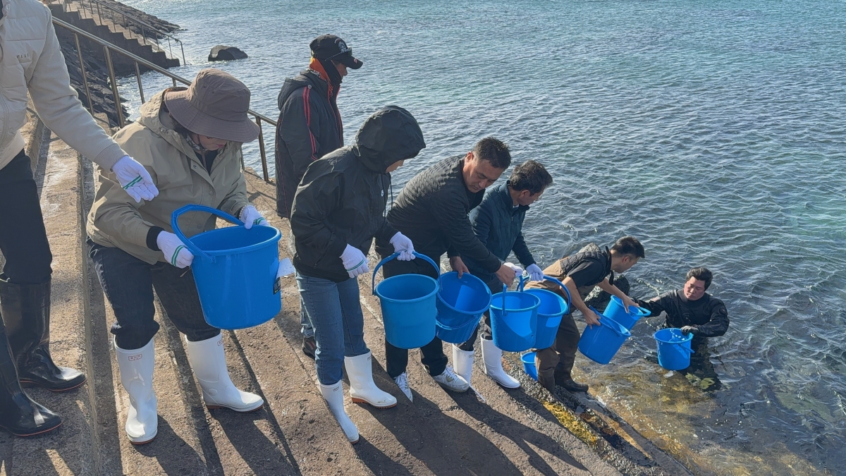 제주도 해양수산연구원은 17일 서귀포시 안덕면 사계리 연안에서 다금바리, 구문쟁이, 붉바리 등 바리과 어류 종자를 서귀포시 안덕면 사계 바다에 방류하고 있다. 제주도 해양수산연구원 제공