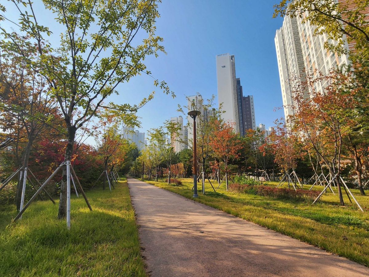 녹색도시 기후대응도시숲으로 선정된 경북 구미의 구미국가산업단지 미세먼지 차단숲. 산림청 제공