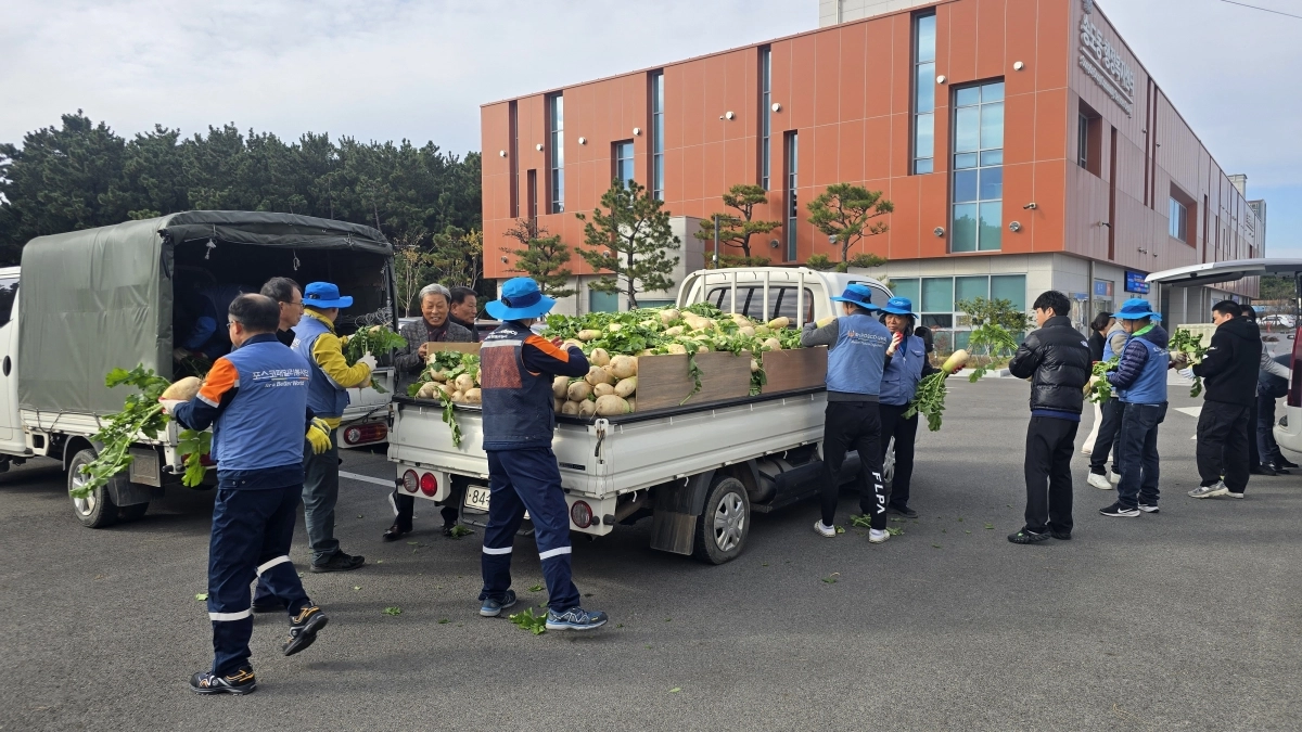 직접 재배한 무를 옮기는 포스코 포항제철소 임직원. 포스코 제공