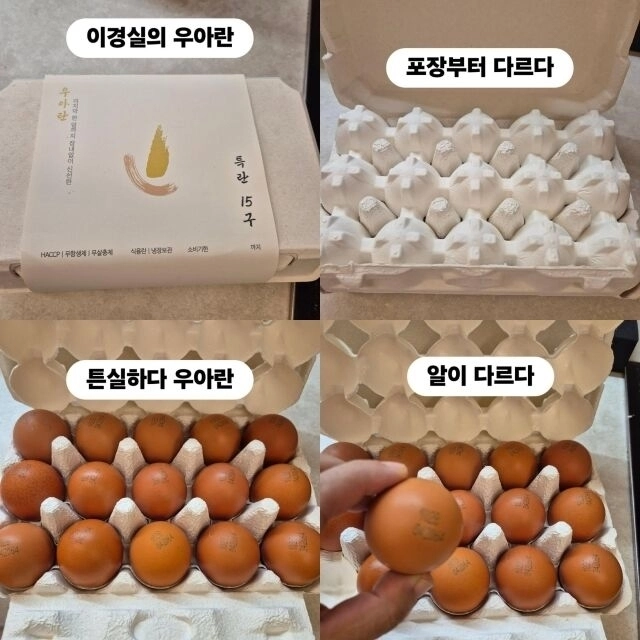 개그맨 조혜련이 동료 이경실이 판매하는 달걀을 홍보하고 나섰다. 조혜련 인스타그램 캡처