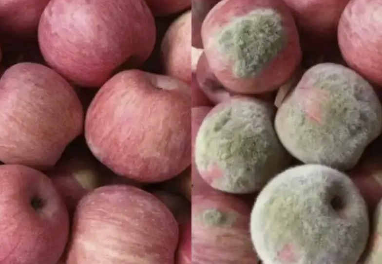 사과에 곰팡이가 핀 것처럼 보이게 하는 등 인공지능(AI) 기술을 이용해 ‘가짜’ 이미지를 만들어 환불을 요구하는 중국 일부 소비자들이 논란이 되고 있다. 웨이보