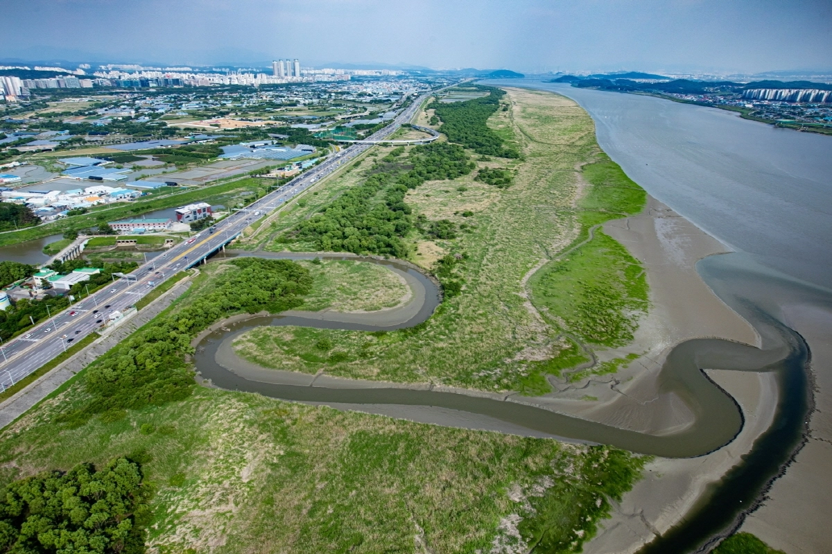 한강하구에 위치한 고양 장항습지 전경 [고양시 제공]