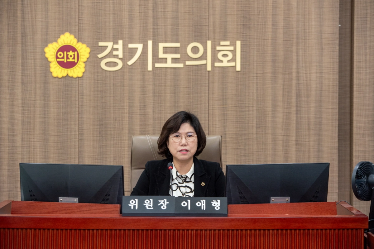 이애형 위원장이 17일 경기도교육청 지역교육국·지방공무원인사과·학생교육원·4.16생명안전교육원에 대한 2025년도 행정사무감사에서 피감기관을 상대로 질의하고 있다.(사진=경기도의회)