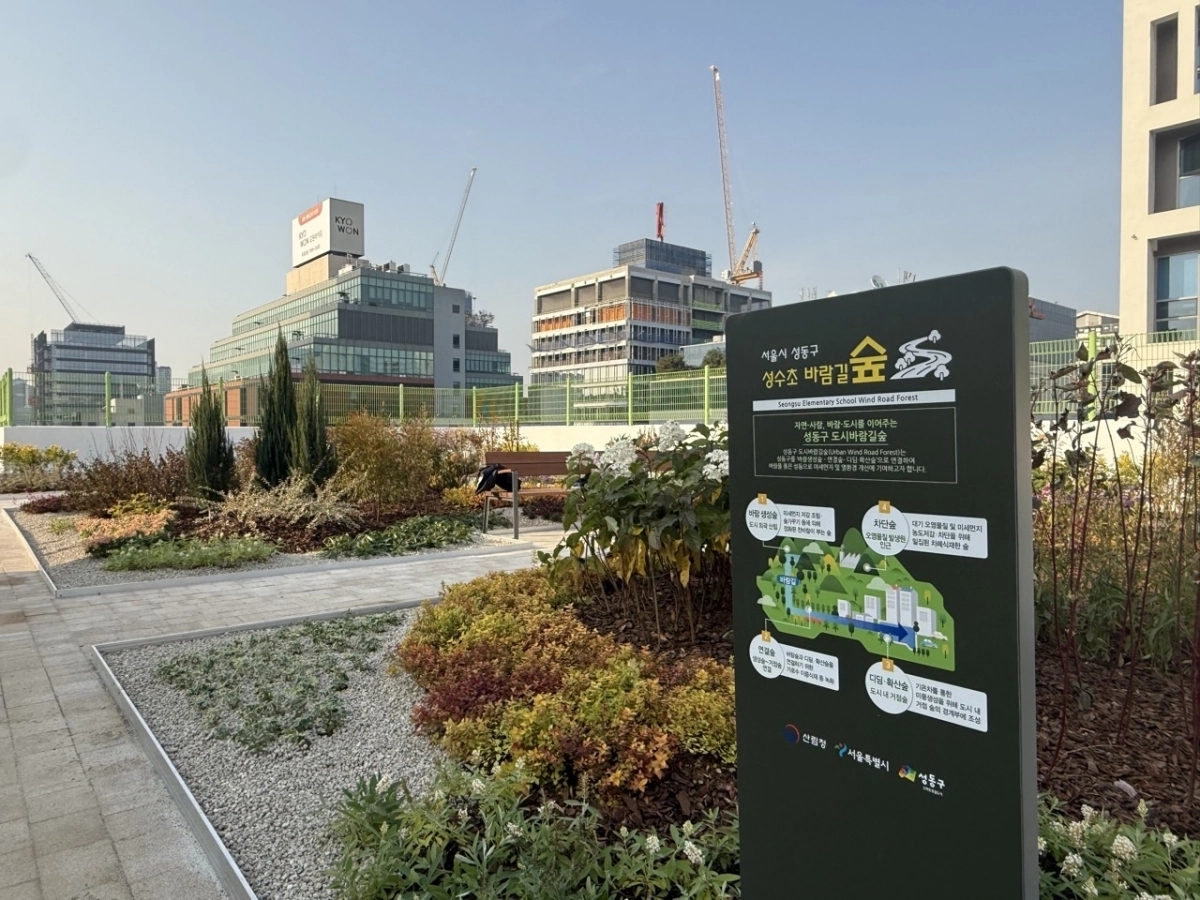 성동구 성수초등학교 옥상에 조성한 ‘바람길숲’ 모습. 성동구 제공