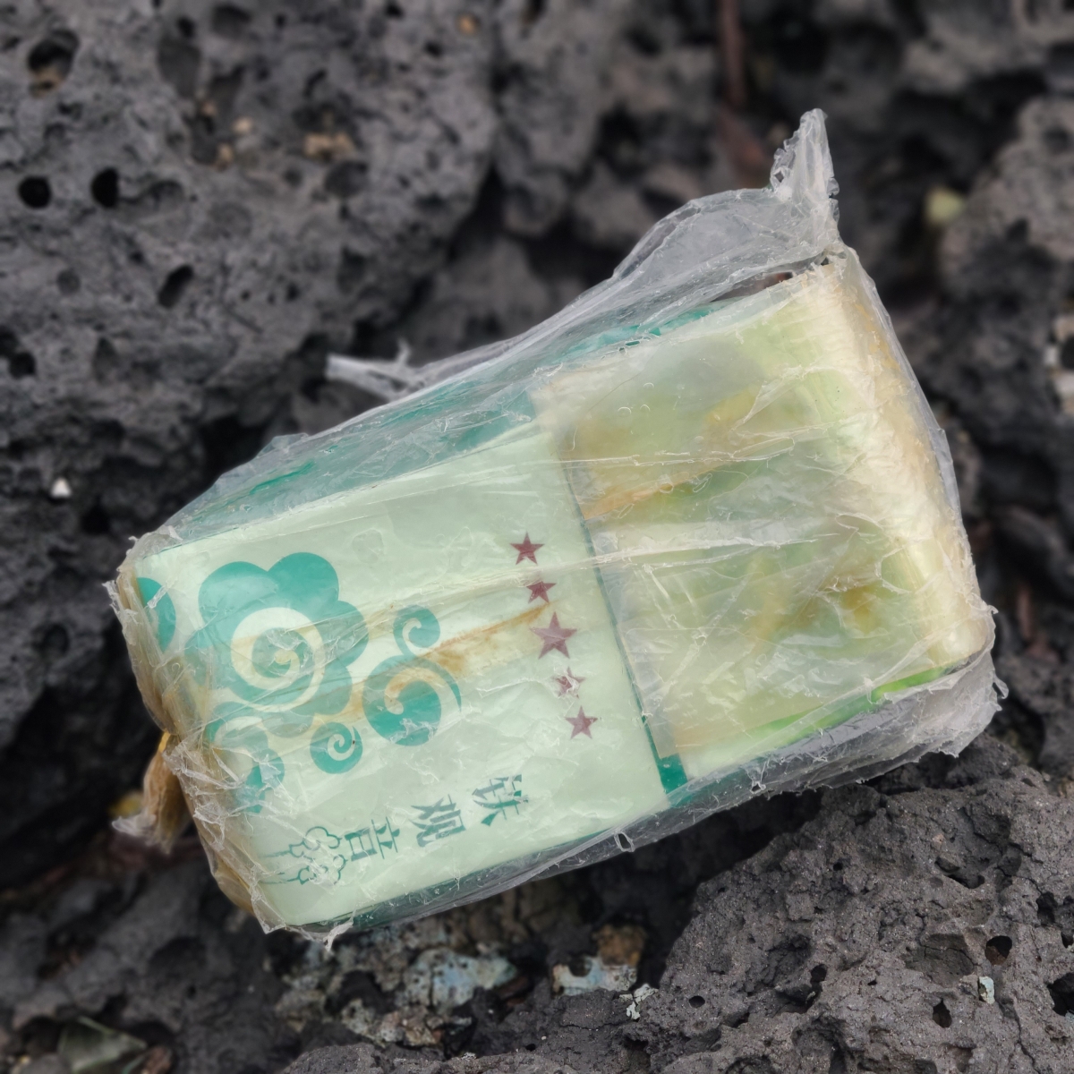 18일 오후 제주시 조천읍 해안에서 발견된 차 포장지에 쌓인 마약류 의심 물체. 제주지방해양경찰청 제공