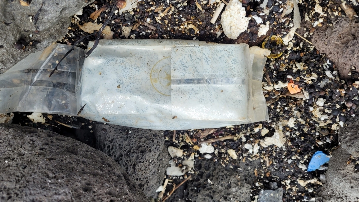 17일 오후 제주 우도면 포구에서 70대 여성이 해안정화활동을 하다가 발견한 차 포장 위장 마약. 제주경찰청 제공