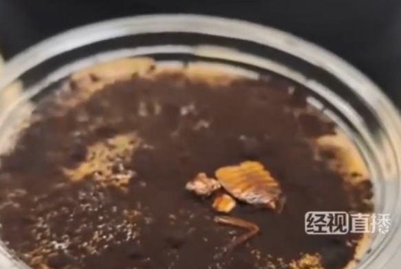 중국의 한 박물관에서 바퀴벌레 커피가 등장해 화제다. 가격은 한 잔에 45위안(약 9200원)으로, 후기에는 약간 신맛이 난다는 반응이 있었다. 웨이보