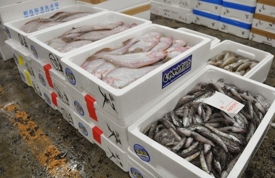 일본 후쿠시마산 수산물. 연합뉴스 자료사진