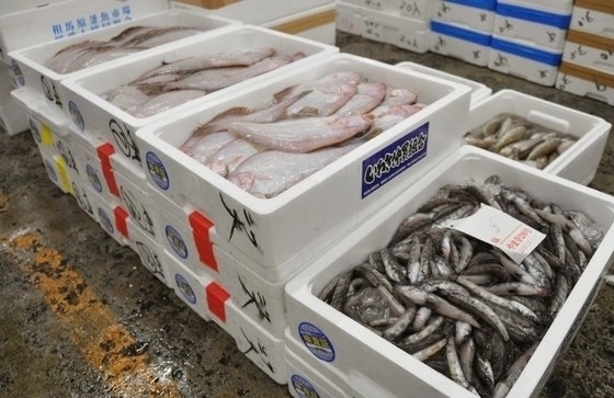 일본 후쿠시마산 수산물. 연합뉴스 자료사진