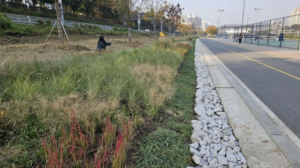 서울 동대문구 중랑천 그라스원.