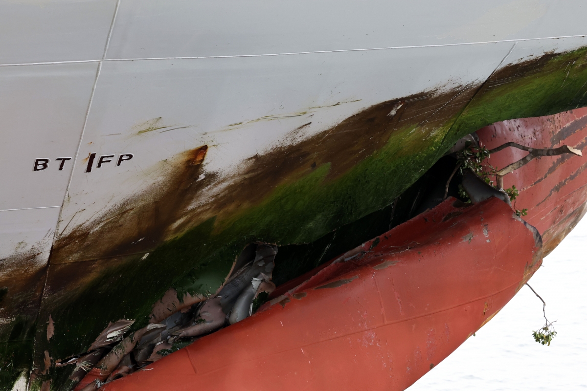 벌어진 틈새에 나뭇가지…처참한 사고 여객선