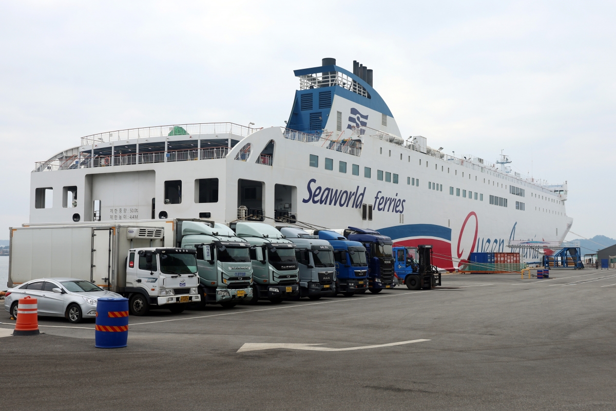 20일 오전 전남 목포시 삼학부두에서 2만 6000t급 여객선 퀸제누비아2호가 정박해 있다. 퀸제누비아2호는 전날 신안군 장산면에 있는 족도(무인도)에 좌초됐다가 9시간여 만에 입항했다. 2025.11.20 연합뉴스