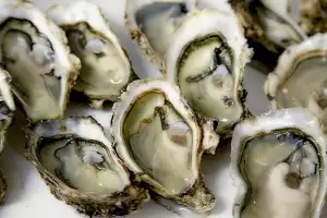 “균 득실 ‘한국 굴’ 먹고 식중독” 데굴데굴…특정제품 수입 중단 지시한 홍콩