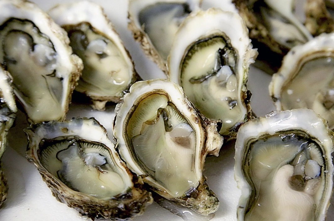 굴 관련 이미지. 위키피디아