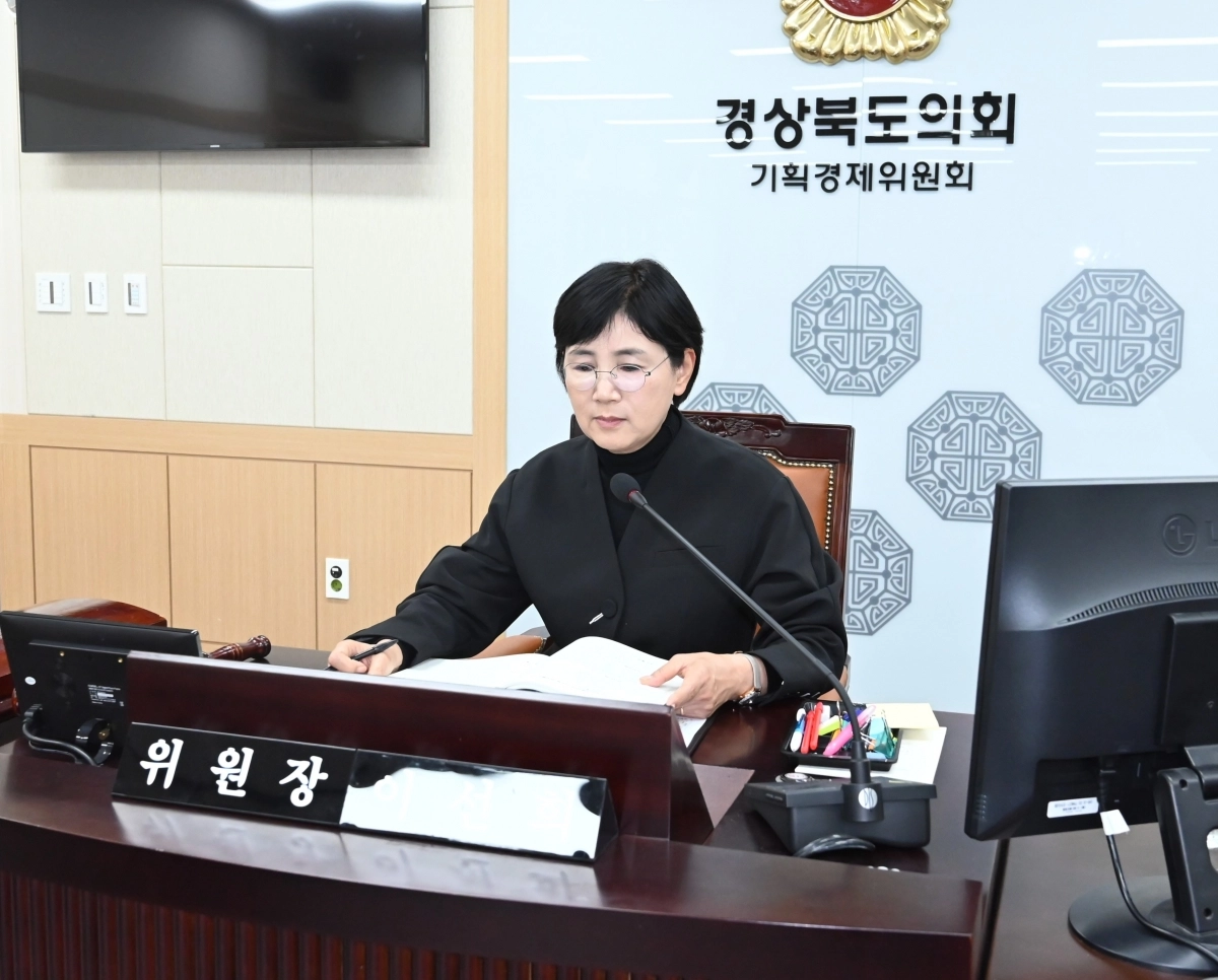 지난 19일 에너지국·메타국 행정사무감사를 진행하는 이선희 기획경제위원장. 경북도의회 제공