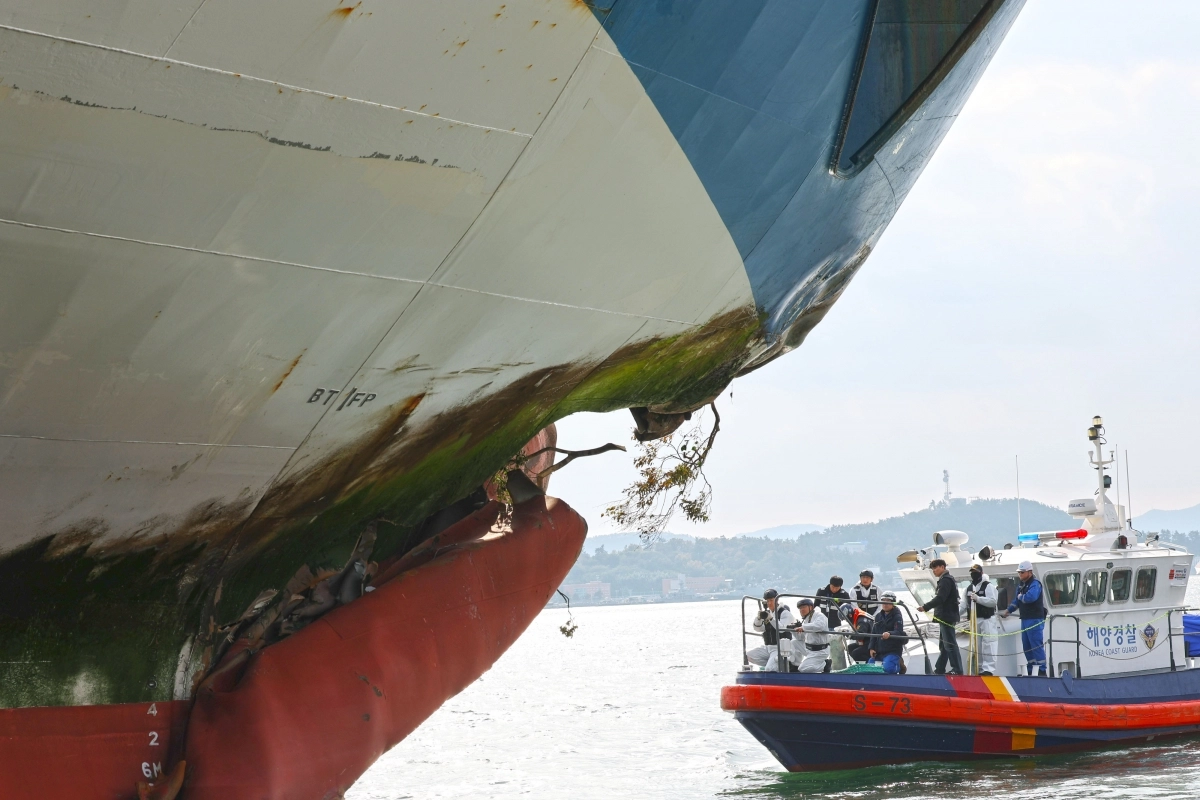 나뭇가지 박히고 찢긴 선체… 목포해경 합동 감식