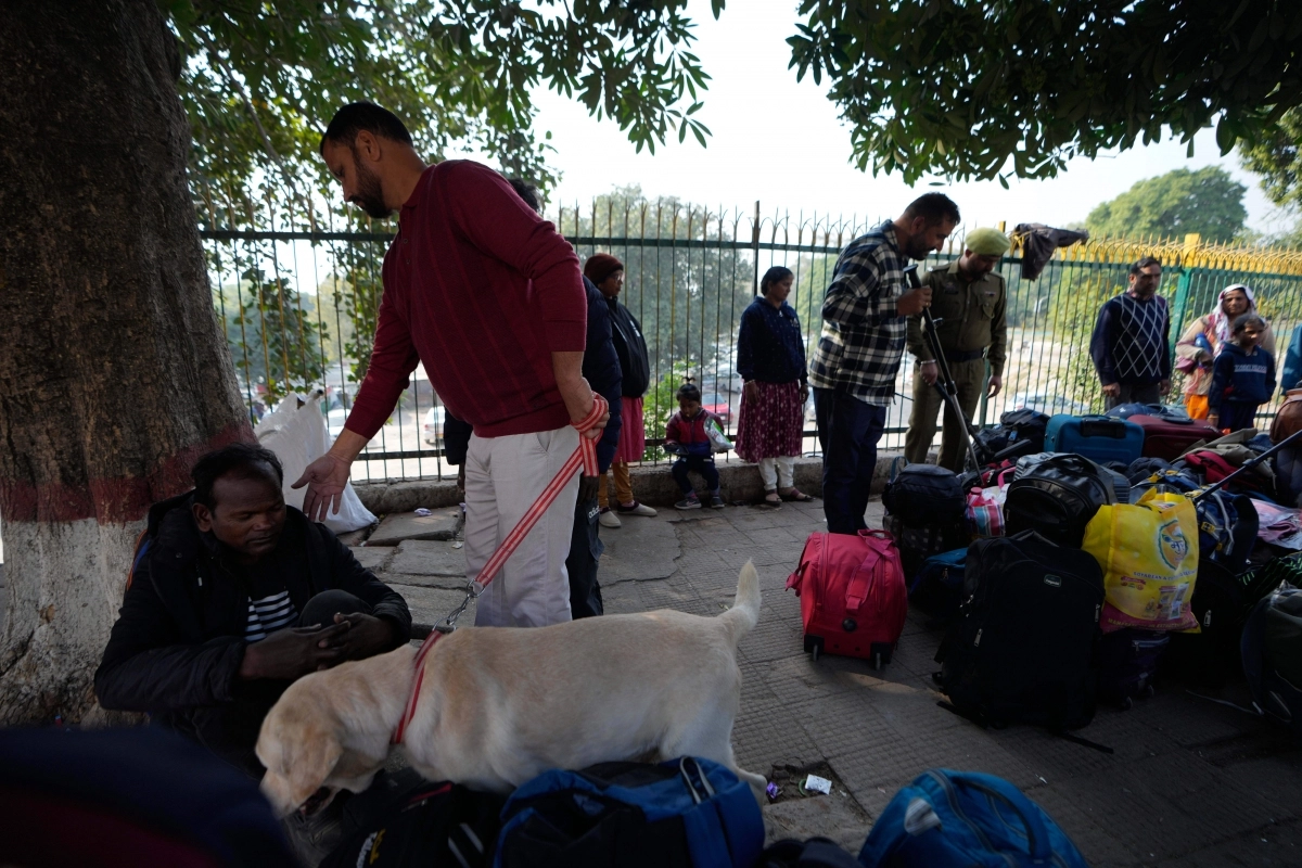 인도 델리의 유적지 레드포트 인근에서 최근 차량 폭발 테러가 발생한 이후 경계가 강화된 가운데 파키스탄 국경과 가까운 잠무카슈미르 연방직할지 잠무의 기차역에서 보안 요원이 탐지견을 끌고 승객들을 철저히 검사하고 있다. 2025.11.17 AP 연합뉴스