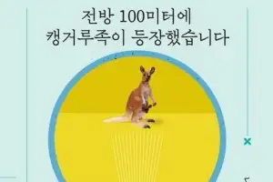 [훔치고 싶은 문장]