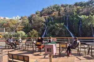 thumbnail - 무명 인공폭포에서 인증샷 콸콸 쏟아내는 ‘핫플’ 서대문 카페 폭포