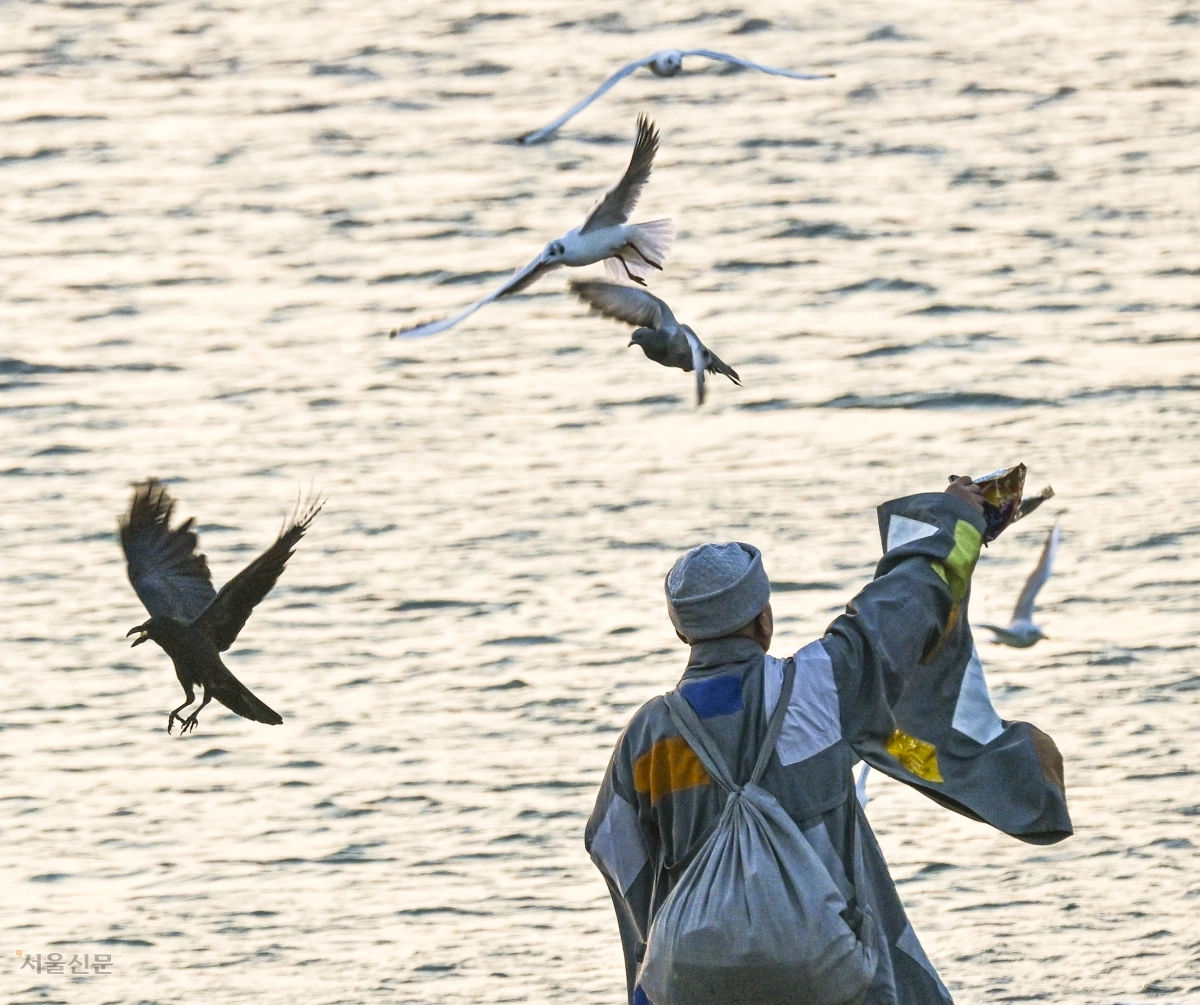 작은 것들을 위한 배려