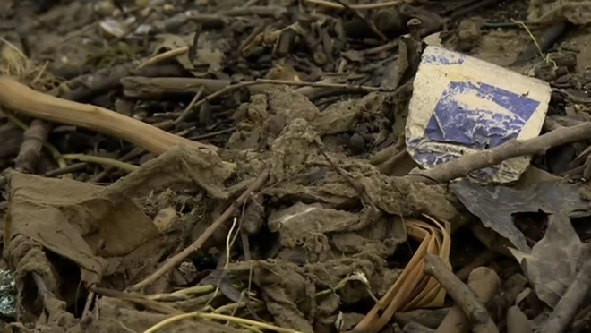 기름, 오물, 침전물과 섞여 발견된 영국의 템스강 주변 섬. BBC 방송화면 캡처