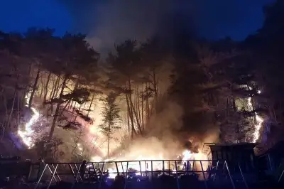 강원 인제 산불, 17시간 만에 진화…축구장 50개 면적 태워