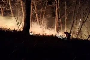 22.5㏊ 양양 산불 16시간 만에 진화