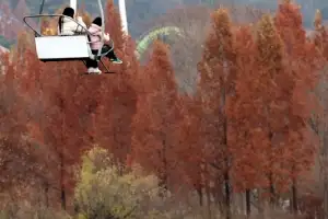 [포토] 깊어가는 가을