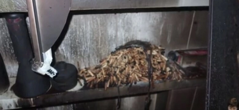 담배로 가득한 스트리머의 집안 내부. 부산소방재난본부