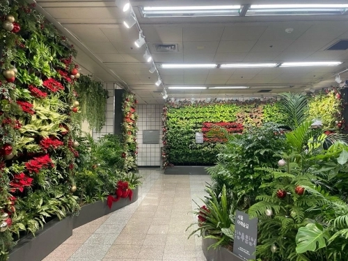 서울지하철 6호선 삼각지역 내 아래숲길이 크리스마스 분위기로 새롭게 단장했다.   용산구 제공