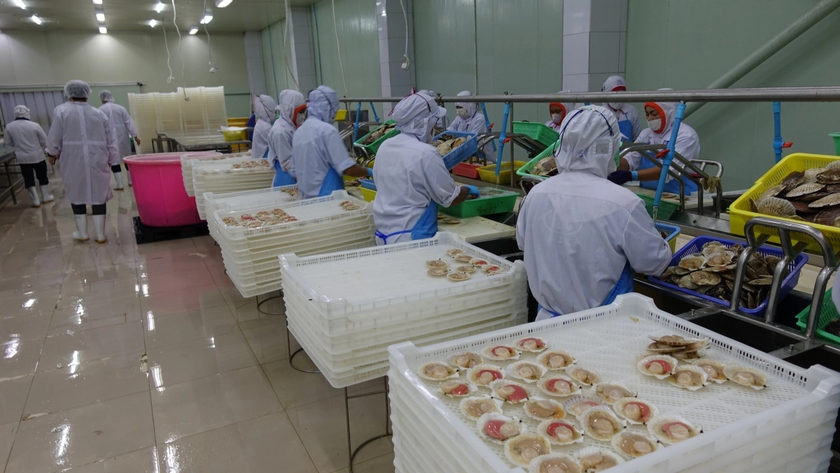 일본산 수산물을 태국산으로 위장해 우리나라로 수출한 태국 수산물 가공 공장. 부산본부세관제공