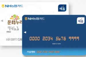 “안 쓰면 사라진다”…1인당 14만원 지급되는 ‘이 카드’ 발급 서둘러야