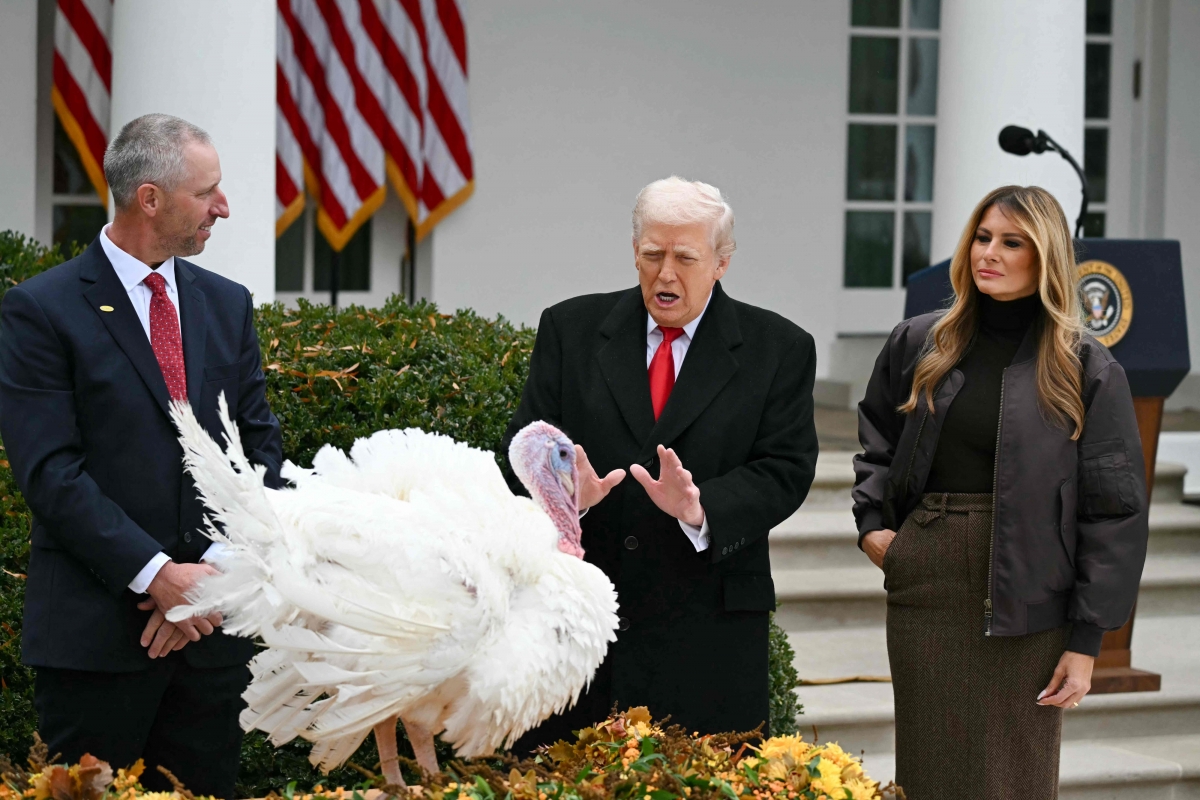 추수감사절 ‘칠면조 사면식’