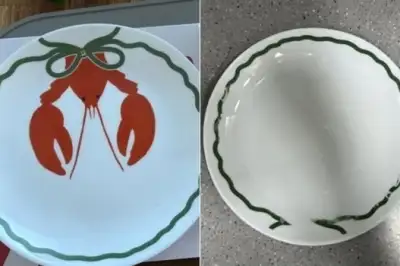 “사용 중단하라” 프린팅 녹는 써브웨이 접시…보상은 ‘8000원’