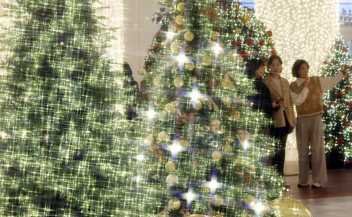 불 밝힌 크리스마스 트리