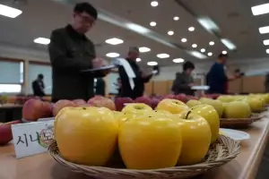 ‘2025 대한민국 대표과일 선발대회’ 국산 과일의 명품화 이끈다