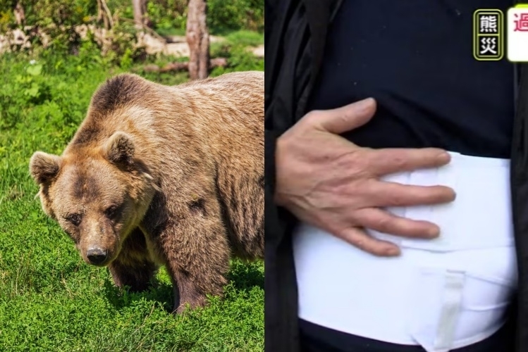 일본 아오모리현에 있는 라멘집 점원이 곰에게 습격당한 뒤에도 영업을 준비한 사연이 현지에서 화제가 되고 있다. 해당 점원(사진 오른쪽)은 오른쪽 옆구리 뼈가 부러지는 등 전치 4주의 진단을 받았다. 곰 사진은 기사와 직접적인 관련 없음. 픽사베이·아오모리TV 보도화면 캡처
